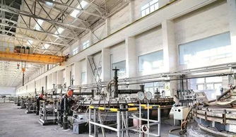 我縣一企業(yè)總經(jīng)理獲國(guó)務(wù)院政府特殊津貼